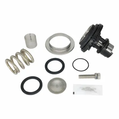 WILKINS Valve Repair Kit RK112-600XL3 - Valve Repair Kits
