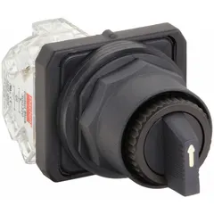 This selector switch features a long-handled knob with a non-illuminated plastic operator head and a non-metallic bezel. It offers maintained/maintained action with two On/On positions, suitable for panel-mount control applications. AC contact rating is 10 A at 600 V; DC contact rating is 0.55 A at 125 V. Cam E configuration.