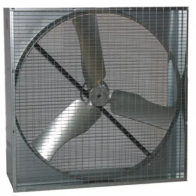 Dayton Agricultural Exhaust Fan: Belt Drive, 48 in Blade, Ships Unassembled - Box Exhaust Fans without Motor