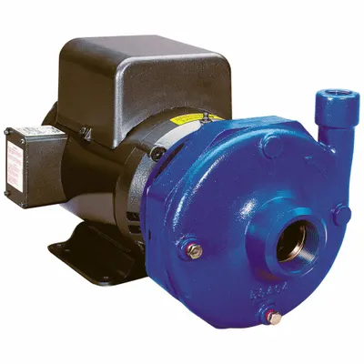 GOULDS WATER TECHNOLOGY Centrifugal Pump: 20 hp, 240/460V AC, 247 ft Max Head, 2 in - Above 10 HP Straight Centrifugal Pumps