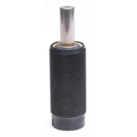 Gas Spring: M38x1.5 Thread Size, 8 3/16 in Ext Lg, 790 lbf Force, End Fittings Not Included (MPN TM 250-080)
