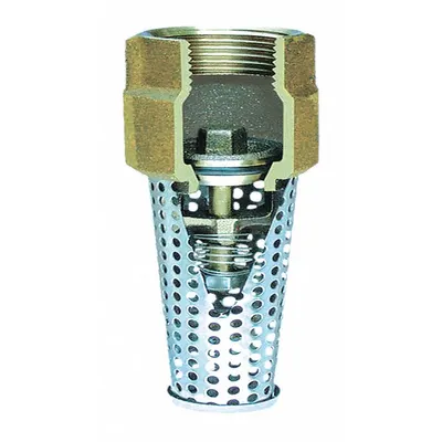 SIMMONS Foot Valve: Spring, Silicon Bronze, Inline, 2 in Pipe Size, FNPT, Pumps - Foot Valves