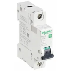1-pole DIN rail-mount supplementary protector with D-curve for high inrush immunity. Rated 2A, 240/415V AC, 60V DC, with 14kA interrupting capacity at 120/240V AC. Screw clamp terminals. Suitable for overcurrent protection in control panels, HVAC, and lighting circuits.