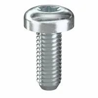Machine Screw: #10-32 Thread Size, 1/2 in Lg, Steel, Zinc-Plated, Pan, Torx®/Star, 100 PK (MPN 480920)