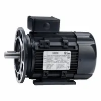 LEESON Metric Motor: 3 hp, C-Face/Rigid Base Mount, 90L Frame Size, Totally Enclosed Fan Cooled (MPN 090LT34FH6520)
