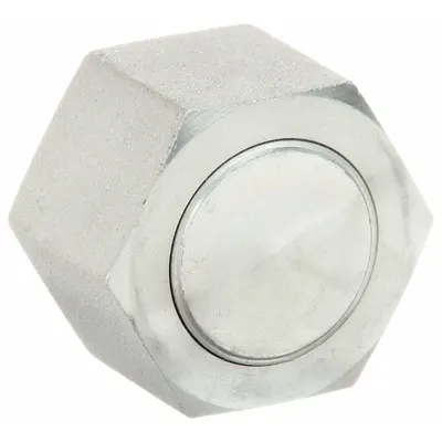 AEROQUIP Hydraulic Hose Cap: Steel, 1 1/4 in Fitting Size, Female - Hydraulic Hose Caps