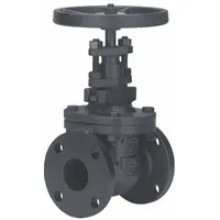 MILWAUKEE VALVE Gate Valve: 2 1/2 in Nominal Valve Size, Cast Iron, Non-Rising, Class 125 Flange (MPN 2882-M26 2-1/2)
