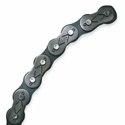 TSUBAKI Roller Chain: Single Strand, 80, 1 in Pitch, Stainless Steel, 10 ft Overall Lg - Anti-Corrosion Roller Chains