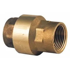 This BONOMI inline disc check valve features a brass body with 4-inch female NPT threads on both ends. It is designed to prevent backflow in piping systems, suitable for horizontal or vertical installation in water, oil, and gas applications.