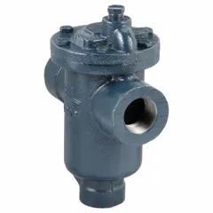 Cast iron inverted-bucket steam trap for condensate removal from steam lines. In-line configuration with horizontal installation. 1-inch FNPT connection. Maximum capacity 750 lb/hr at 250 psi and 450°F. Strainer not included.