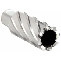SLUGGER BY FEIN Annular Cutter: 27 mm Cutter Dia, 2 in Max Cutting Dp, Bright, High Speed Steel (MPN 63134270002)