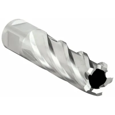 SLUGGER BY FEIN Annular Cutter: 25/32 in Cutter Dia - High-Speed Steel Annular Cutters for General Cutting