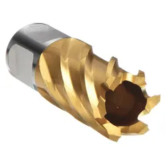 High-speed steel annular cutter with TiN coating and cobalt alloy for general cutting of metal. Features a Weldon Flat shank for secure chucking. Cutter diameter 13/16 in, maximum cutting depth 1 in. Fractional inch sizing.
