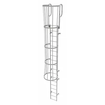 TRI-ARC Fixed Ladder with Safety Cage: 21 ft Overall Ht, 18 in Overall Wd, Steel - Safety Cage Walk Through Fixed Ladders