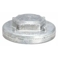 SANITAIRE Cap and Bearing Assembly: Electrolux, For Upright Vacuum Vacuum Type, 38138