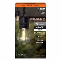 FEIT ELECTRIC Compact LED Bulb: Medium Screw (E26), LED, (S) Sign, S14, 1 W Watt, 2700K, Clear (MPN S14/827/FILED/4)