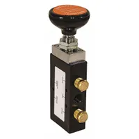 Steel manual air valve for controlling tailgate pneumatics on heavy dump trucks. Rated to 120 psi. Black unfinished finish. Suitable for pneumatic actuation in heavy-duty tailgate control systems
