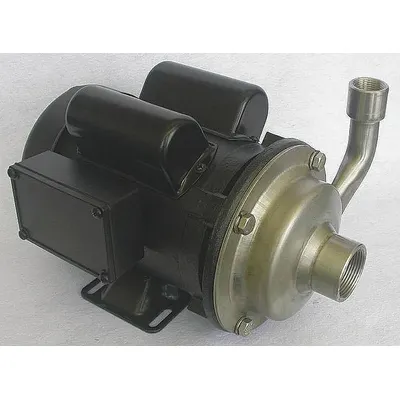 Dayton Centrifugal Pump: 304 Stainless Steel, 1 hp Horsepower (Max), Single Phase - Stainless Steel Housing Chemical-Resistant Centrifugal Pumps