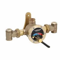 Thermostatic mixing valve designed to blend steam and cold water media. Features NBR seal material and 3/4 in x 3/4 in connection size. Suitable for industrial process heating, washdown stations, and temperature control systems requiring precise steam-water mixing