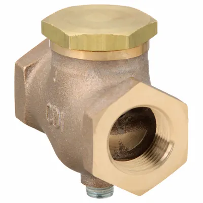 CONTROL DEVICES Check Valve: Air, Brass, 3/4 in NPT, 3/4 in (F)NPT - Pneumatics