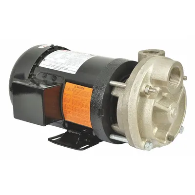 Dayton Turbine Centrifugal Pump - Turbine Centrifugal Pumps