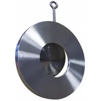 CHAMPION Check Valve: Swing, Inline Valve Body, 12 in Pipe Size, Flange, 316 Stainless Steel, Flange (MPN 12SDS15-SSP-R)
