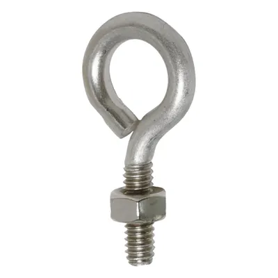 BIRD BARRIER Eye Bolt with Nut: Eye Bolt with Nut, Stainless Steel, Silver, 2 in Overall Lg - Bird Control Netting Accessories