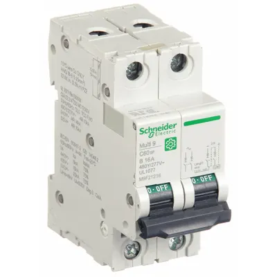 SCHNEIDER Supplementary Protector: 16 A Amps, 14kA at 240V AC, Screw Clamp, C60SP - B-Curve, 2-Pole UL1077 DIN Rail-Mount Supplementary Protectors