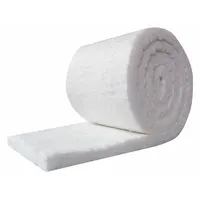 Ceramic Fiber Insulation: Aluminum Silicate, 25 ft Lg, 24 in W, 1 in Thick, 34 lb Wt, 0.75 R-Value (MPN CF8-1-24X25)