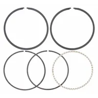 SPEEDAIRE Ring Set Lp 10/15/30 Pumps, Cast Iron: Z798, PL15/PL30/R15/R30