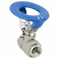 APPROVED VENDOR Manual Two-Way Ball Valve: 3/8 in, 316 Stainless Steel, Straight Valve Body, PTFE (MPN G-SSO-38V)
