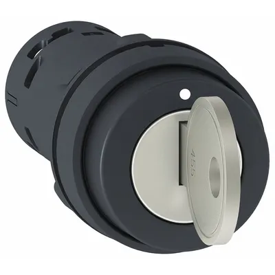 SCHNEIDER Selector Switch: 2 Position, 22 mm Panel Mounting Size, 1NO - Panel-Mounted Key Switches with Contacts