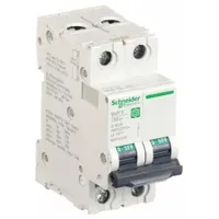 SCHNEIDER IEC Supplementary Protector: 40 A Amps, 10kA at 240V AC, Screw Clamp, C60SP, D (MPN M9F23240)