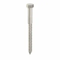 Hex Head Lag Screw: 1/4 in Size, 3 in Lg, Stainless Steel, NL-19, 25 PK (MPN FBLB143P25)
