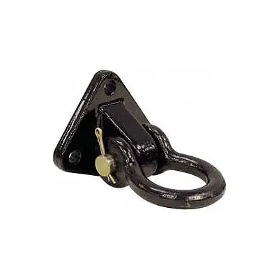 BUYERS PRODUCTS Tow Hook and Shackle B0681 - Fleet and Vehicle Maintenance