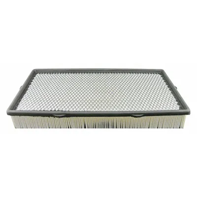 BALDWIN FILTERS PA5428 Panel Engine Air Filter - Panel Engine Air Filters