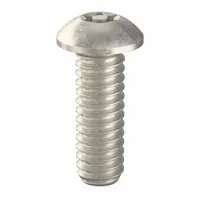 Tamper Resistant Screw: 1/4"-20 Thread Size, 3/4 in Lg, Stainless Steel, Plain, Button, 25 PK (MPN 91260)