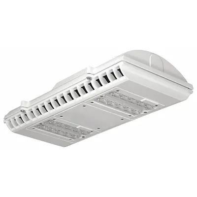 LITHONIA LIGHTING Pendant Canopy Light: LED, 5,543 lm, 5000K, 46 W Fixture Watt, 120 to 277V AC - LED Pendant Parking Garage & Canopy Lights