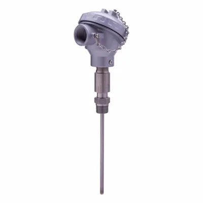 TEL-TRU NPAA3206A101D01A1 Threaded RTD with Conduit Connection - Threaded RTDs with Conduit Connection