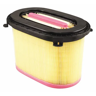 BALDWIN FILTERS PA30118 Round/Oval Engine Air Filter - Round/Oval Engine Air Filters