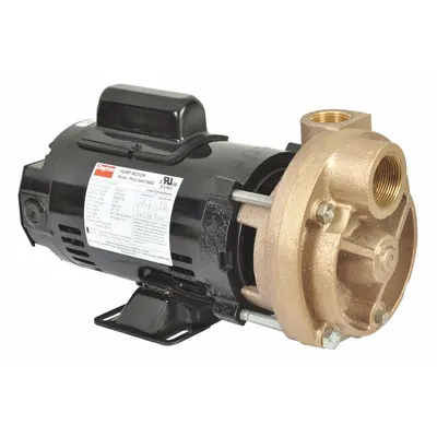 Dayton Turbine Pump: 3/4 hp, 115/230V AC, 120 psi Shut Off, Capacitor-Start/Run - Turbine Centrifugal Pumps