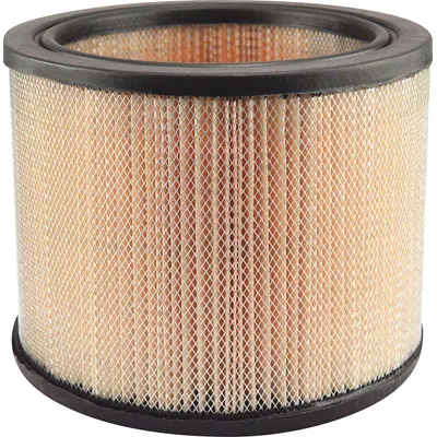 BALDWIN FILTERS PA2102 Round/Oval Engine Air Filter - Round/Oval Engine Air Filters