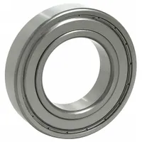 TRITAN Radial Ball Bearing: 1603, Dbl Shield, 5/16 in Bore, 7/8 in OD, 0.281 in Wd, Alloy Steel Ring (MPN 3825 ZZ PRX)