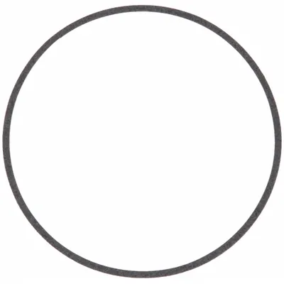 ARMSTRONG 106158-000 Body & Casing Gasket for In-Line Circulating Pumps, EPDM - Body & Casing Gaskets