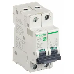 This SCHNEIDER C60SP supplementary protector is a B-curve, 2-pole device rated at 1 A with a maximum interrupting rating of 14kA at 240V AC. It features screw clamp terminals and is designed for DIN rail mounting. Suitable for overcurrent and short-circuit protection in branch circuits of industrial control panels, HVAC equipment, and machinery per UL1077 standards.