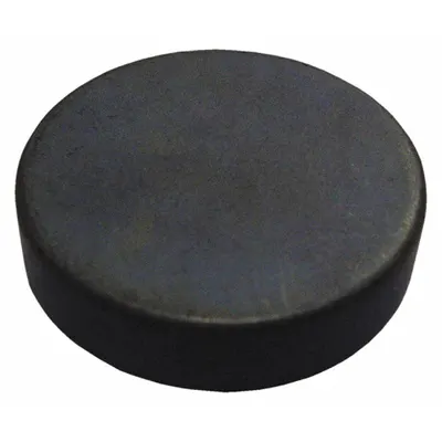 STORCH PRODUCTS Disc Rare Earth Magnet, 1 in OD, 0.25 in Thick, 20 lbf Pull - Disc Rare Earth Magnets