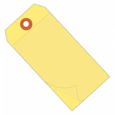 PARTNERS BRAND Self-Laminating Shipping Tags