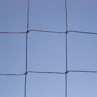 BIRD BARRIER Bird Repellent Netting: Bird Repellent Netting, Heavy, 625 sq ft Coverage Area, Black (MPN n3-b110)