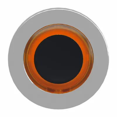 SCHNEIDER Flush Push Button: 30 mm Mounting Size, Metallic - Illuminated Flush-Mount Push-Button Operators