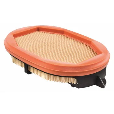 BALDWIN FILTERS PA30119 Oval Panel Engine Air Filter - Round/Oval Engine Air Filters